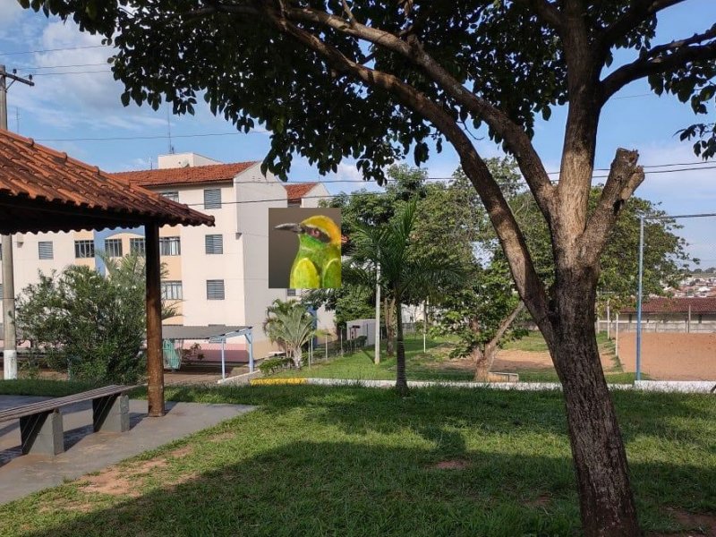 imóvel com 60m² - Parque Viaduto - Bauru