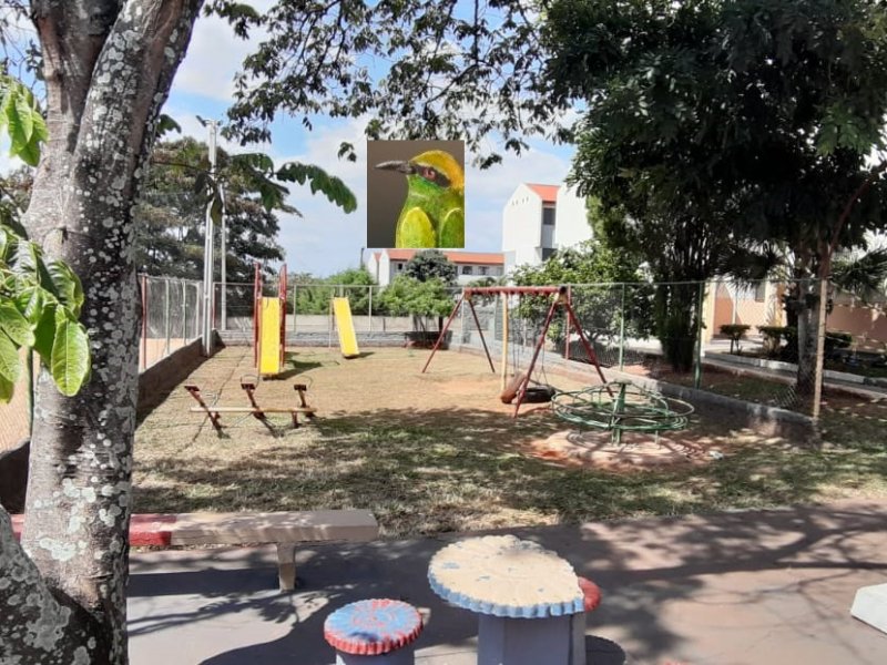 imóvel com 60m² - Parque Viaduto - Bauru