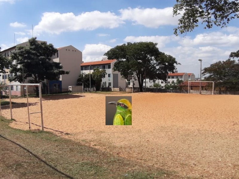 imóvel com 60m² - Parque Viaduto - Bauru