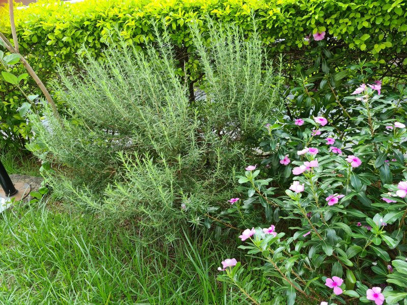 Apartamento à venda Jardim Amaralina com 52m² e 2 quartos por R$ 265.000 - 33123072-f47.jpg