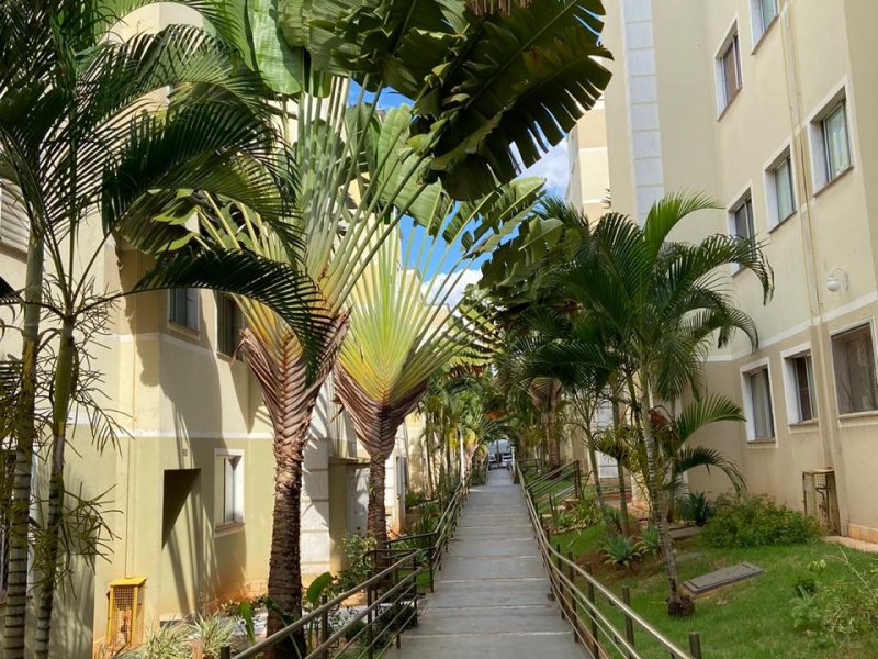 imóvel com 45m² - Lagoinha - Ribeirão Preto