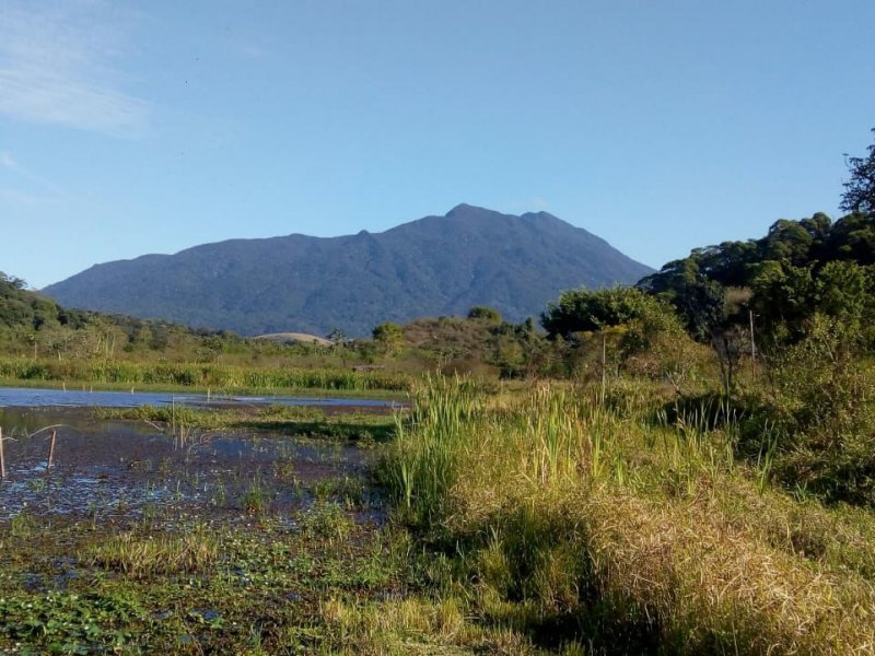 Sítio à venda Iguaçu Velho com 252m² e 4 quartos por R$ 2.000.000 - 1839749239-b729855d-9d56-45a7-99c7-9a2bf39e1a7c.jpg