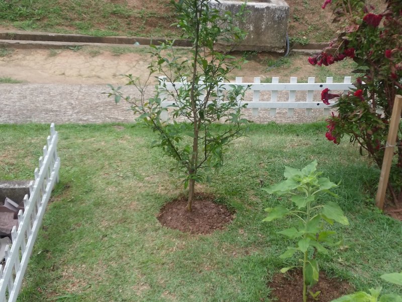 Apartamento à venda Morro Branco com 52m² e 2 quartos por R$ 75 - 464729492-20190928-151002.jpg