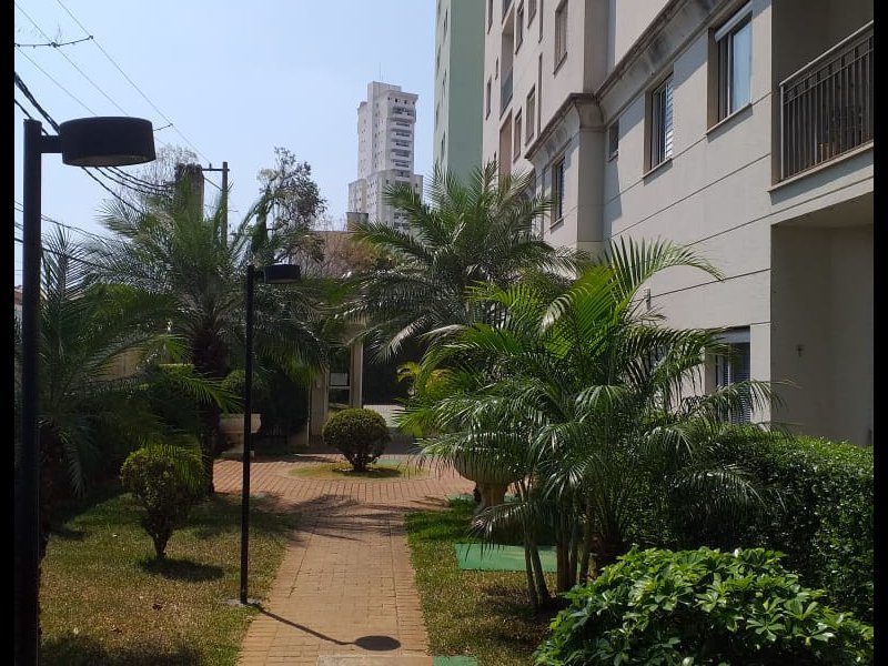 Apartamento à venda Lauzane Paulista com 50m² e 2 quartos por R$ 270.000 - 1072992846-edd5d1fa-1472-49e8-82b6-70644aed84a9.jpeg