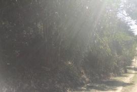Terreno à venda Vila Progresso com 900m² - 1 dormitório -  vagas - R$ 320.000 - 1880829987-terreno-03.jpeg