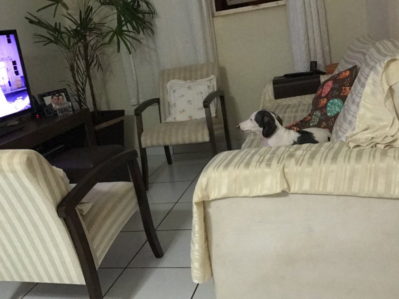 Apartamento à venda Higienópolis com 69m² e 2 quartos por R$ 230.000 - 1237813192-f25adcbd-17fb-43d1-9af9-1507db2ebf7a.jpeg