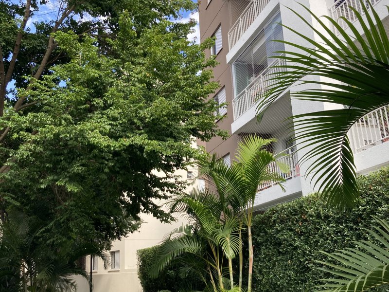 imóvel com 65m² - Jardim Ester Yolanda - São Paulo