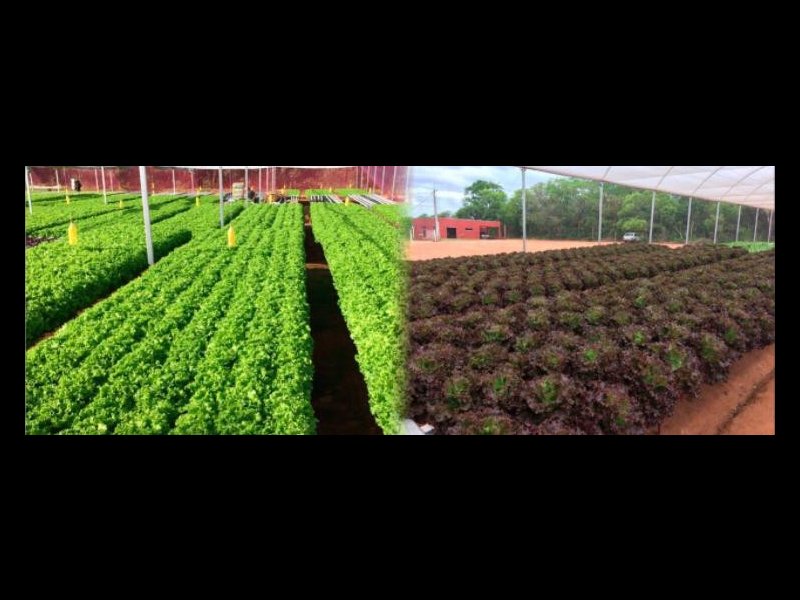 imóvel com 10m² - Chácara das Mansões - Campo Grande
