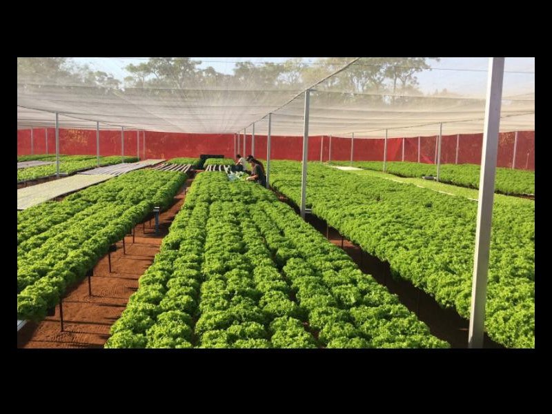 imóvel com 10m² - Chácara das Mansões - Campo Grande