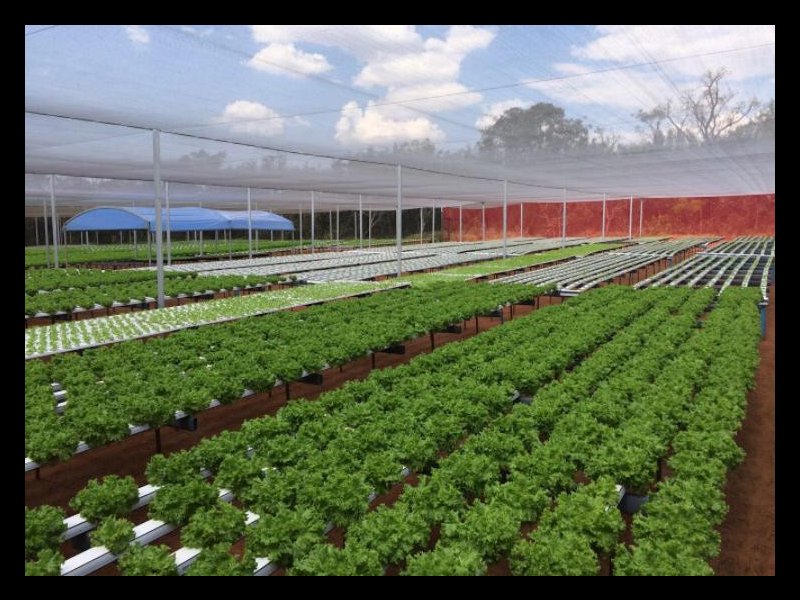 imóvel com 10m² - Chácara das Mansões - Campo Grande