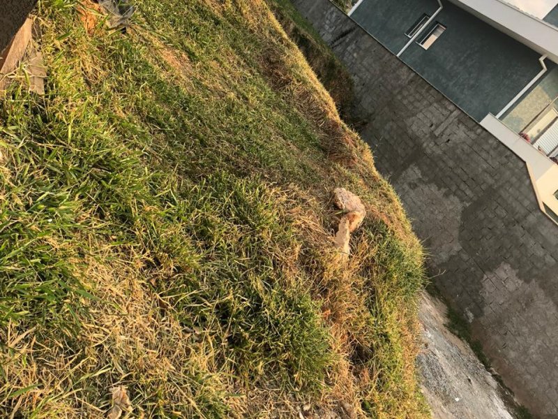 Terreno à venda Jardim Itaperi com 360m² e 1 quarto por R$ 330.000 - 2025319433-whatsapp-image-2020-09-16-at-17.jpeg
