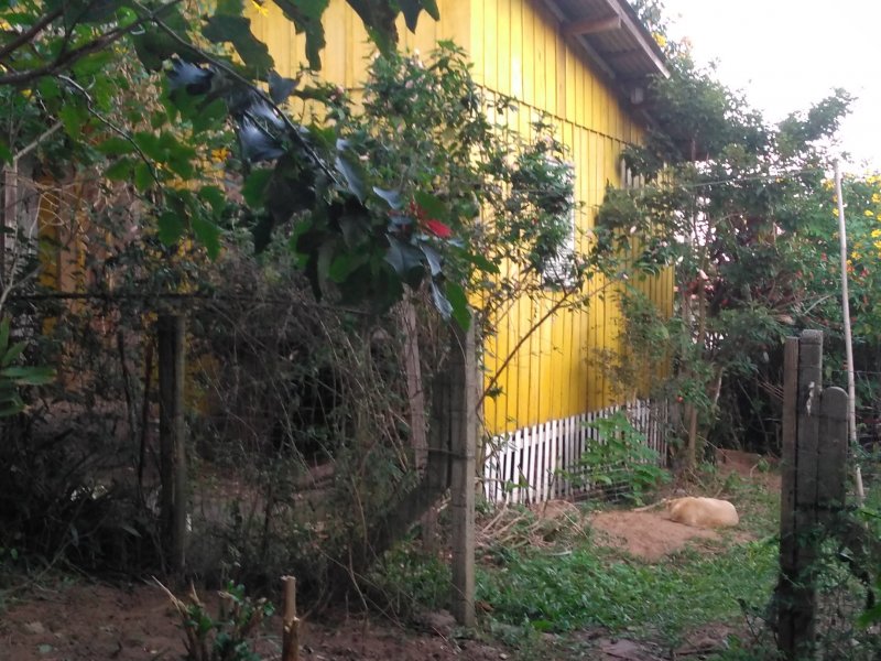 Casa à venda São João do Rio Vermelho com 450m² e 1 quarto por R$ 250.000 - 123047204-img-20210520-wa0018.jpeg