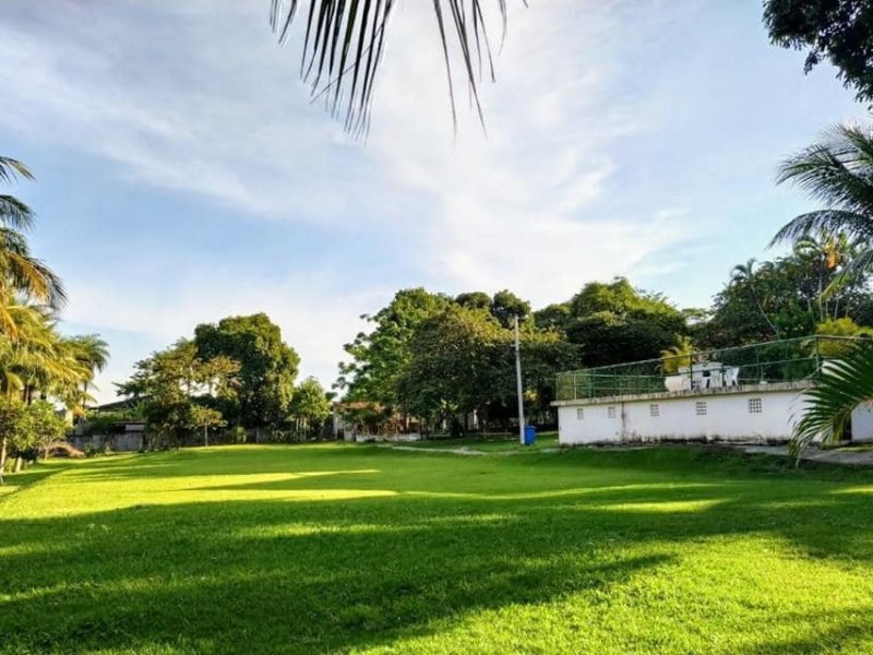 Casa à venda Guaratiba com 10000m² e 5 quartos por R$ 4.000.000 - 1755343076-118911299-117634633403507-8004487001692161846-n.jpg