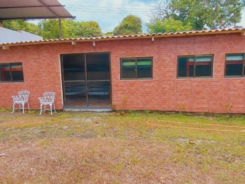 Casa à venda Guaratiba com 10000m² e 5 quartos por R$ 4.000.000 - 730463029-f1350566-640f-4069-a5f4-d3e31202227f.jpg