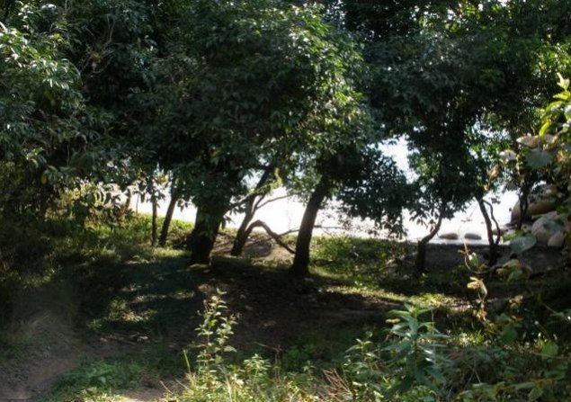 imóvel com 780m²
