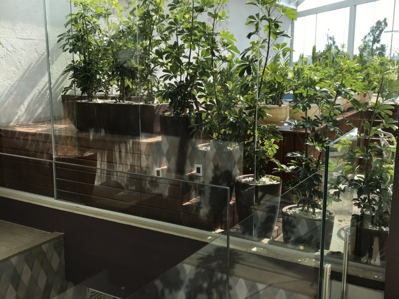 Cobertura à venda Jardim Portugal com 336m² e 4 quartos por R$ 2.350.000 - 1765063630-3cd700ac-1d76-4249-8dc4-76991811725f.jpeg
