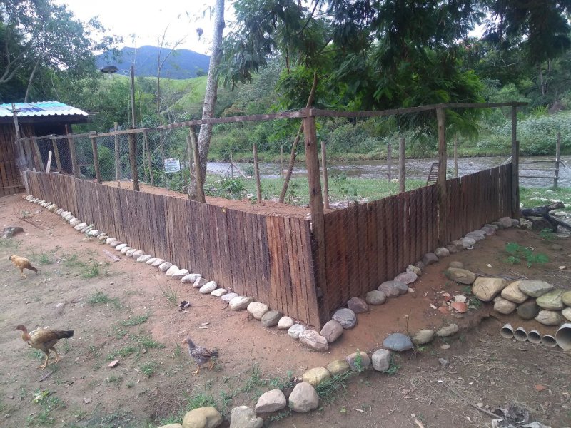 Chácara à venda Pedrinha com 3000m² e 3 quartos por R$ 600.000 - 249308359-465efaac-13f8-49c9-8952-0054a7ed9d2e.jpg