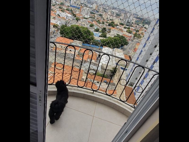 imóvel com 50m² - Vila Bela - São Paulo