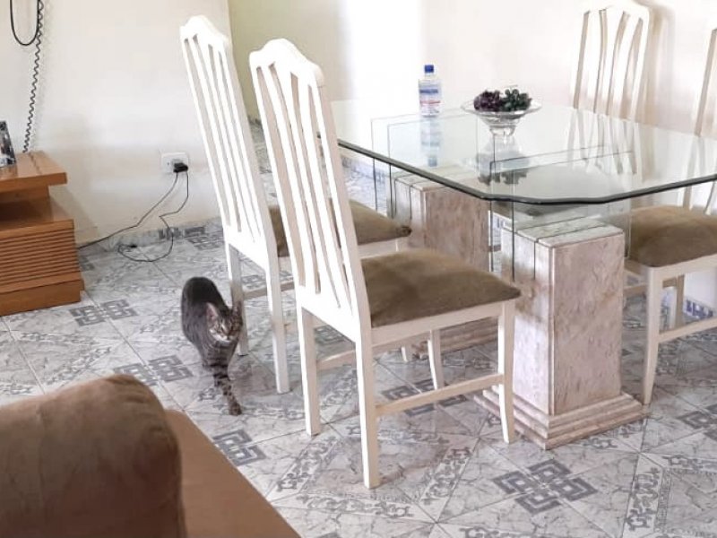 Casa à venda Vila Ema com 120m² e 3 quartos por R$ 500.000 - 232721527-c6b2e1ad-9ce1-4dbb-9b1b-8e2b8f170111.jpeg