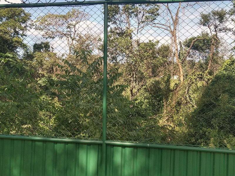 Casa de condomínio à venda Jardim Botanico com 420m² e 4 quartos por R$ 1.380.000 - 1464952891-img-20210413-150356069-hdr.jpg