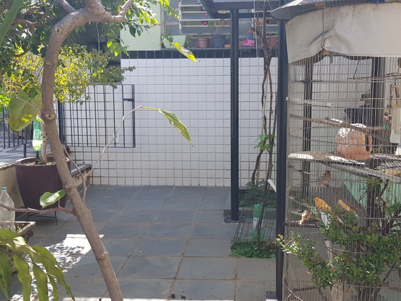 imóvel com 245m² - Floresta - Belo Horizonte
