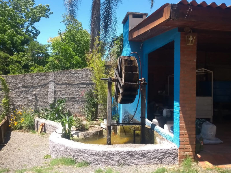 Casa à venda Neópolis com 1060m² e 3 quartos por R$ 950.000 - 12.jpg