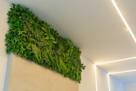 1043746924-dsc02298.jpg