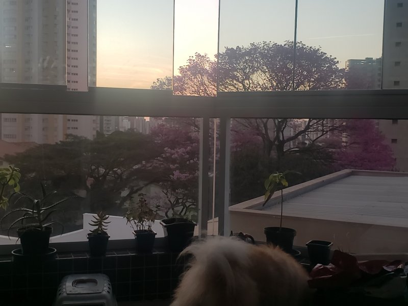 imóvel com 97m² - Vila Assunção - Santo André