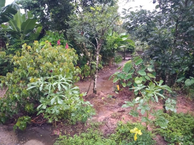 Sítio à venda Rio Bonito (Piraberaba) com 28m² e 2 quartos por R$ 1.300.000 - 1016391207-eb88056f-8f1e-46d0-a202-bf157b939129.jpg