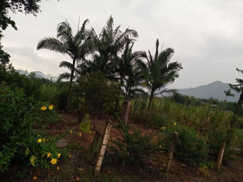 Sítio à venda Rio Bonito (Piraberaba) com 28m² e 2 quartos por R$ 1.300.000 - 1326199154-782d2fb4-8930-40b6-ac5d-b5ae8eb215d9.jpg