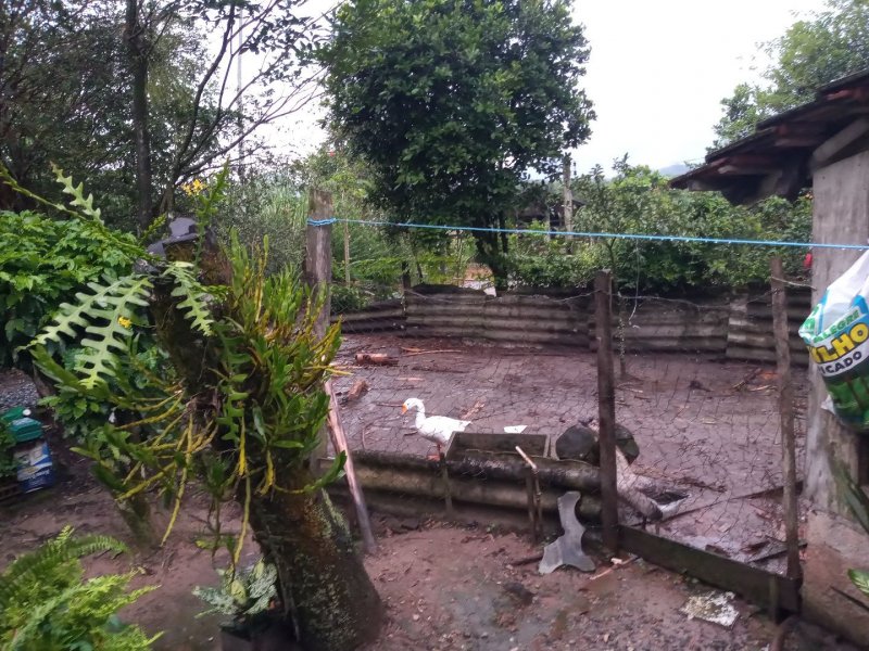 Sítio à venda Rio Bonito (Piraberaba) com 28m² e 2 quartos por R$ 1.300.000 - 2016933056-59ac8245-5163-4167-8cee-20e5be5fcdb5.jpg