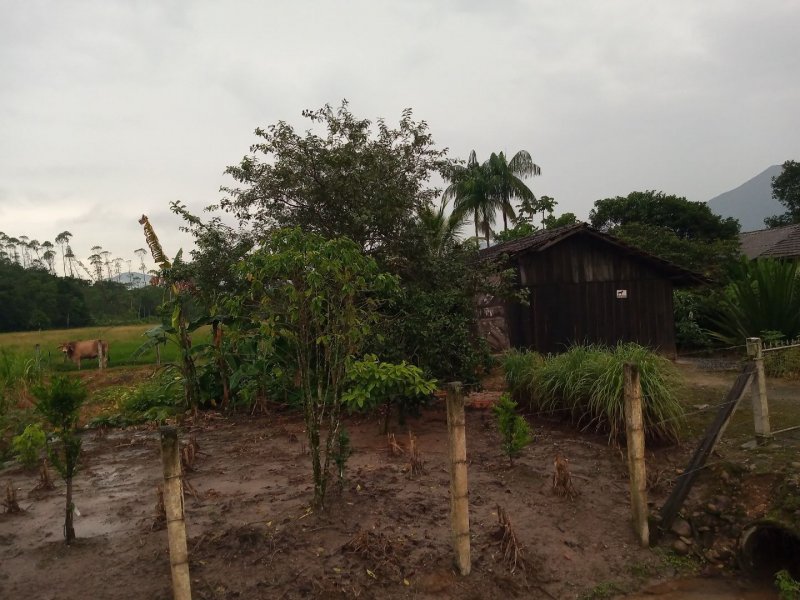Sítio à venda Rio Bonito (Piraberaba) com 28m² e 2 quartos por R$ 1.300.000 - 2056717326-fb283130-6ed8-41da-b9c8-ce0ef0b8789b.jpg