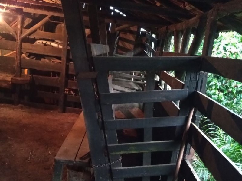 Sítio à venda Rio Bonito (Piraberaba) com 28m² e 2 quartos por R$ 1.300.000 - 304914431-3424beec-c6c6-4b7e-9183-fdbc5e8a0bcb.jpg
