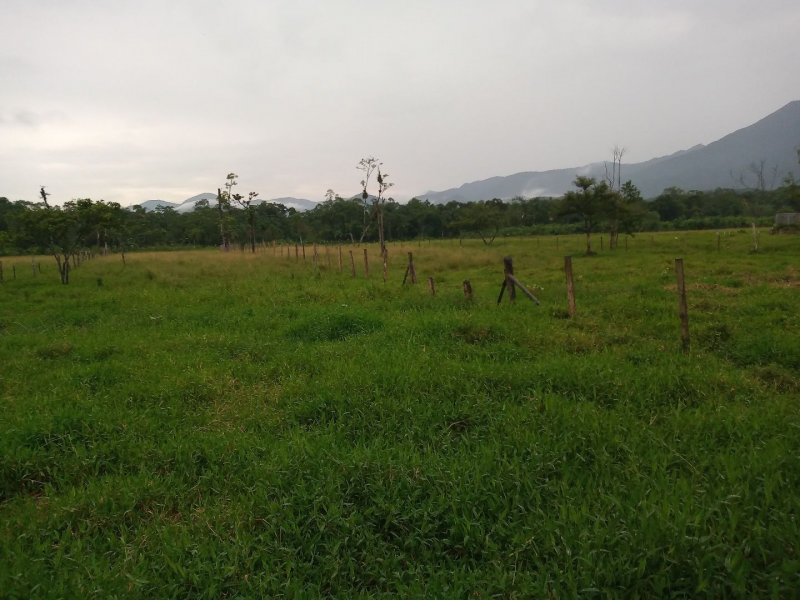 Sítio à venda Rio Bonito (Piraberaba) com 28m² e 2 quartos por R$ 1.300.000 - 407268048-1a3e65ad-f784-43b9-a034-7d827ed63556.jpg