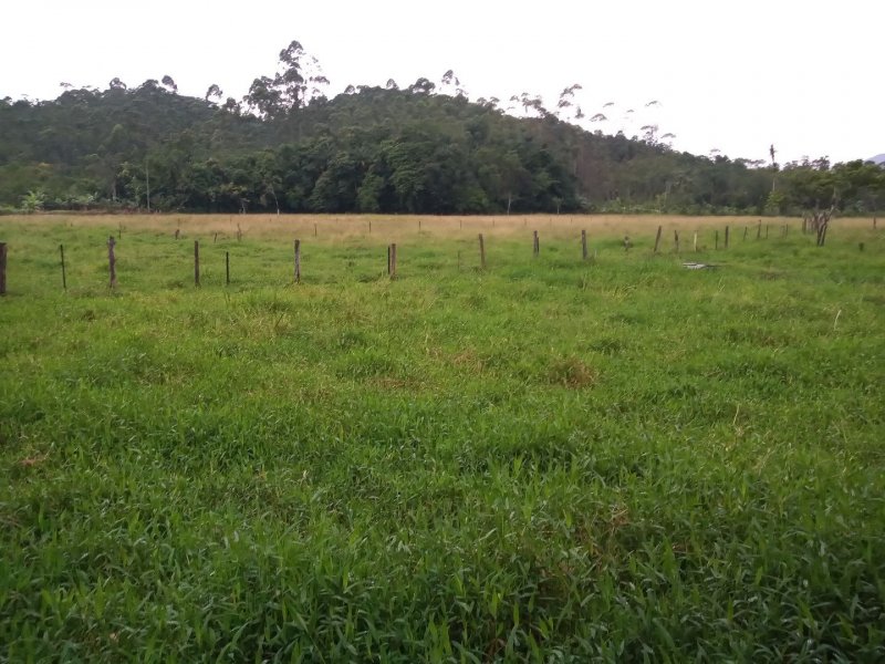 Sítio à venda Rio Bonito (Piraberaba) com 28m² e 2 quartos por R$ 1.300.000 - 749076511-1e1c219c-522f-47e4-bf9a-5c8d5b03521f.jpg