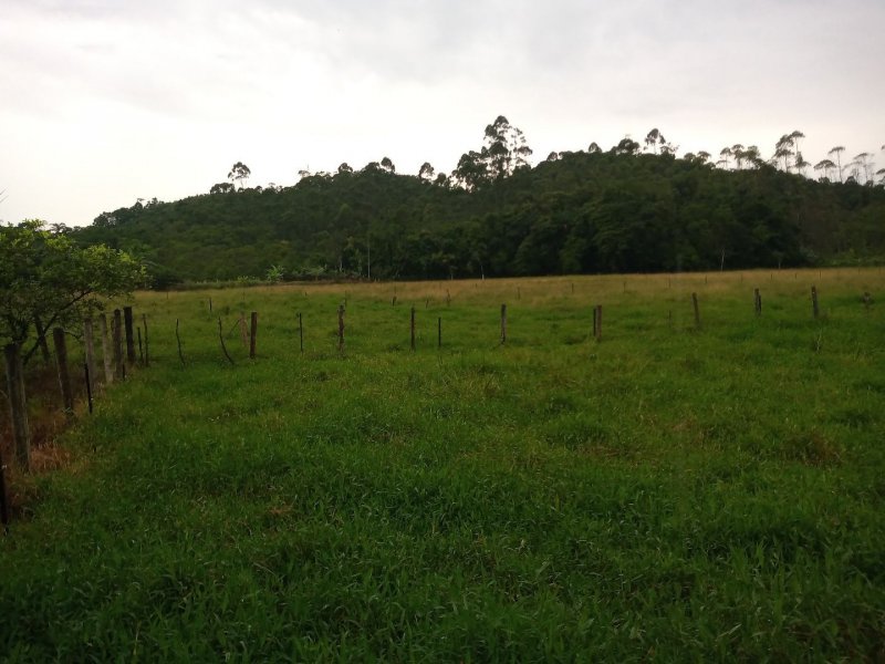 Sítio à venda Rio Bonito (Piraberaba) com 28m² e 2 quartos por R$ 1.300.000 - 840240759-a38ce2f2-fa87-4350-b61b-226744d79852.jpg