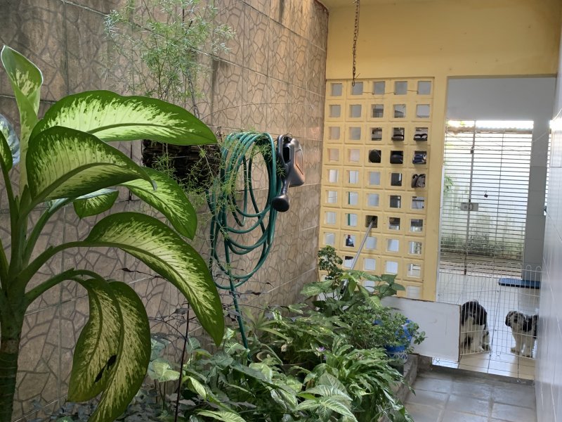 Casa à venda Areias com 193m² e 3 quartos por R$ 550.000 - 1602344245-a5978723-2f26-4f72-a936-b9e3137ef756.jpeg