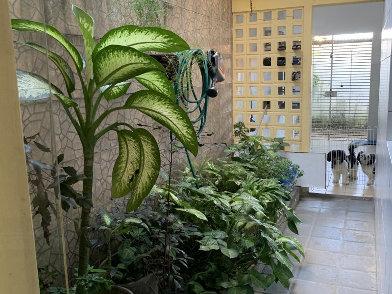 Casa à venda Areias com 193m² e 3 quartos por R$ 550.000 - 933850402-2fd356d4-b0d5-40f6-aad2-7422d5924eeb.jpeg