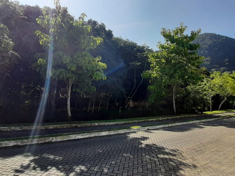 Casa à venda Canto do Forte com 215m² e 4 quartos por R$ 1.100.000 - 784681932-img-20210616-wa0028.jpg