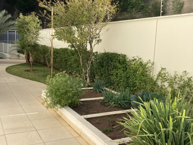 Apartamento à venda Chora Menino com 60m² e 2 quartos por R$ 532.000 - 1167488942-992089cd-63fc-46c6-bedb-3b53a240f983.jpeg