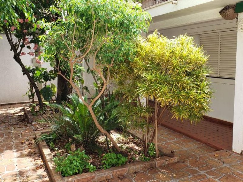 Casa à venda Vila Margarida com 400m² e 4 quartos por R$ 700.000 - 226727382-1ec77a01-a8b8-469d-821e-5bd74abcdb30.jpeg