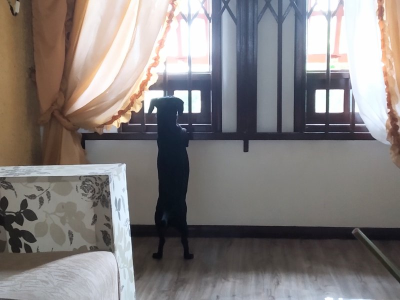 Casa à venda Boa Vista com 190m² e 4 quartos por R$ 800.000 - 112256872-img-20210126-1118082.jpg