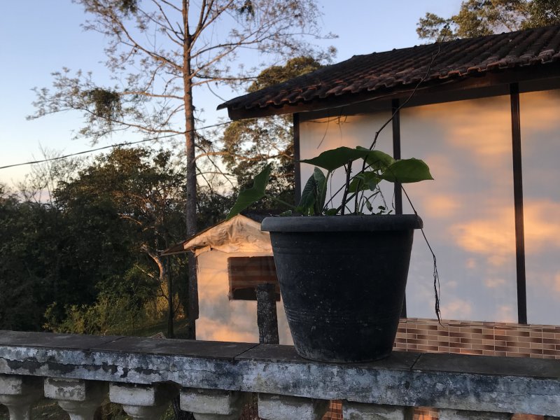 Chácara à venda Parelheiros com 1500m² e 2 quartos por R$ 350.000 - 1123847915-9388ce5f-f876-4a5f-aa6a-e9cd83a6258b.jpeg
