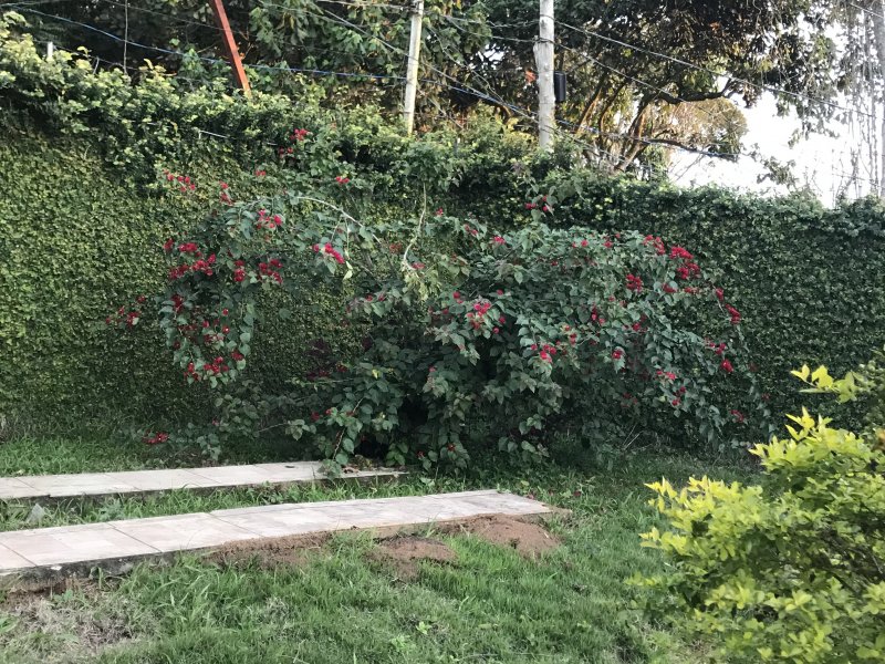Chácara à venda Parelheiros com 1500m² e 2 quartos por R$ 350.000 - 1536949356-c6608361-669c-424a-8a6c-913f79001d49.jpeg