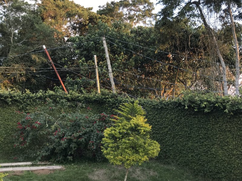 Chácara à venda Parelheiros com 1500m² e 2 quartos por R$ 350.000 - 1546900242-63fed8d9-3506-4e07-b77e-5d60249dc631.jpeg