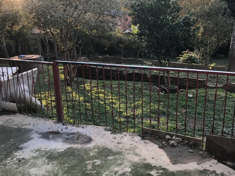 Chácara à venda Parelheiros com 1500m² e 2 quartos por R$ 350.000 - 1944493092-9b90fd95-98c9-4536-81f4-d74117e21556.jpeg