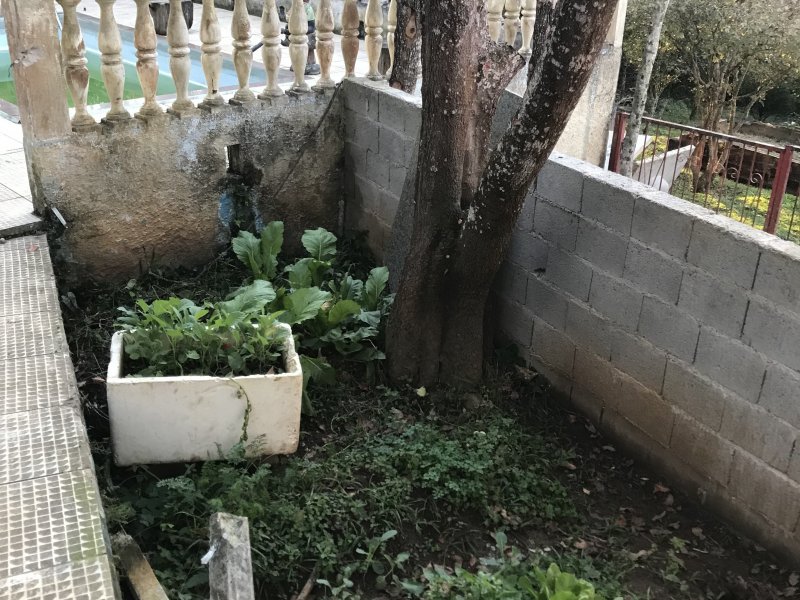 Chácara à venda Parelheiros com 1500m² e 2 quartos por R$ 350.000 - 369836760-c2d36c58-23ca-4244-b12d-caba9c3fb743.jpeg