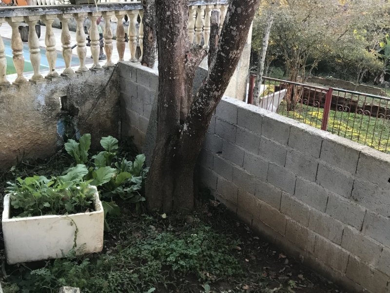 Chácara à venda Parelheiros com 1500m² e 2 quartos por R$ 350.000 - 473949681-a2e37ee7-8615-4829-b409-14b4bd6fbf90.jpeg