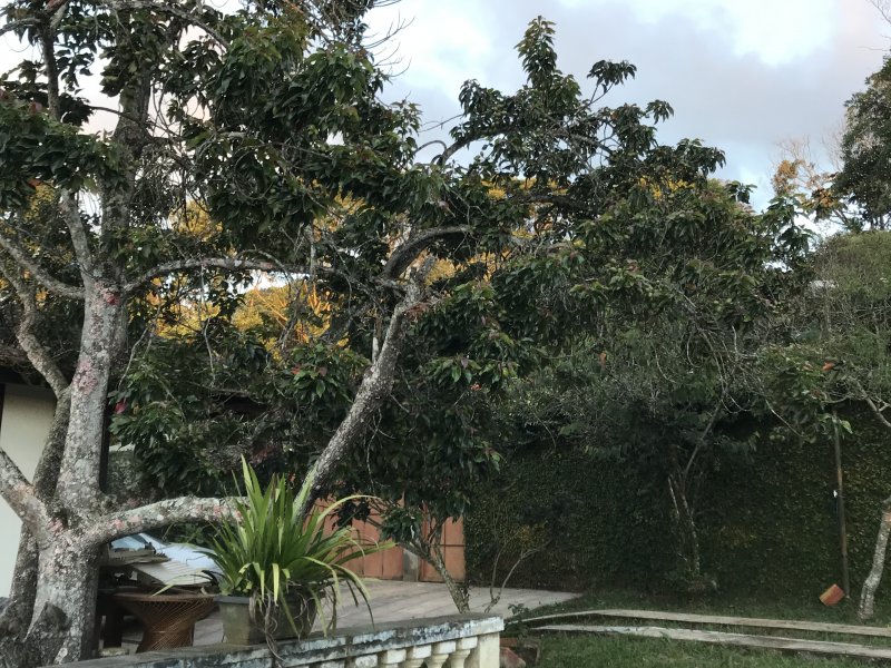 Chácara à venda Parelheiros com 1500m² e 2 quartos por R$ 350.000 - 479113910-701d2ac9-7177-4be1-8e97-cb18f4d96955.jpeg