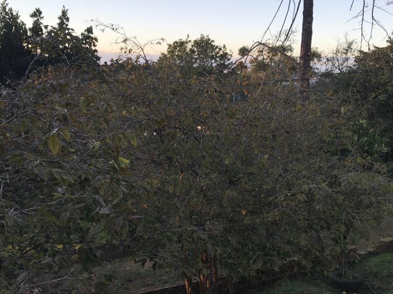Chácara à venda Parelheiros com 1500m² e 2 quartos por R$ 350.000 - 521422953-d4b1b397-6333-4ce7-9e79-8557c292918d.jpeg